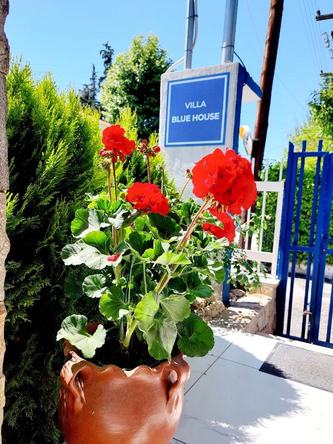 Nea Kallikrateia Villa Blue House מראה חיצוני תמונה